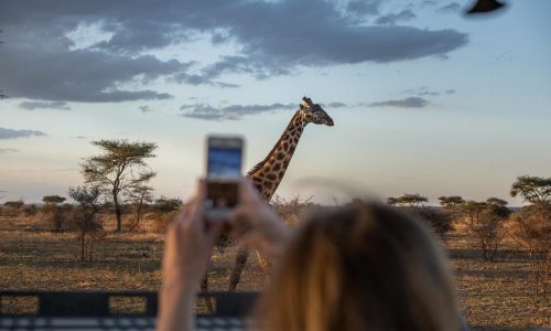 Lake-manyara-game-drive